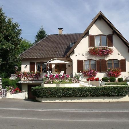 Maison D'Hotes Chez Nicole Elsenheim Eksteriør billede