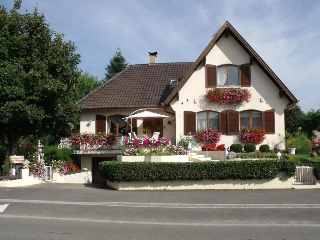 Maison D'Hotes Chez Nicole Elsenheim Eksteriør billede