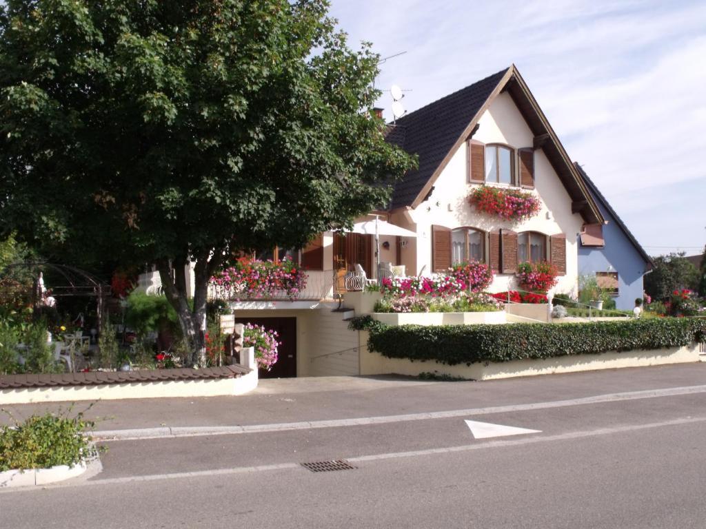 Maison D'Hotes Chez Nicole Elsenheim Eksteriør billede